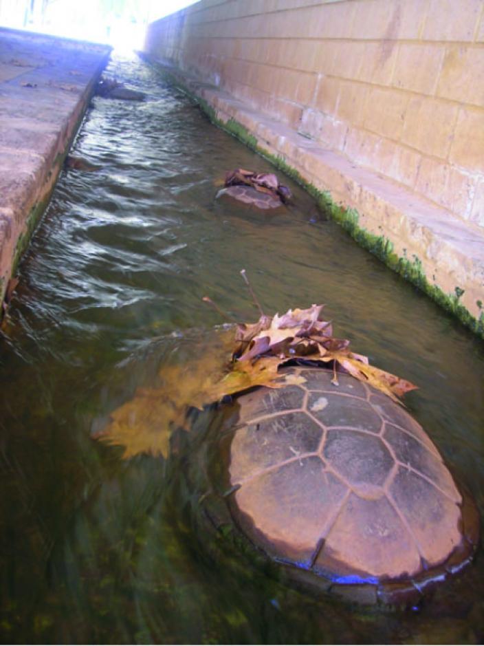 Narrow lake between two brick walls and two turtles in water